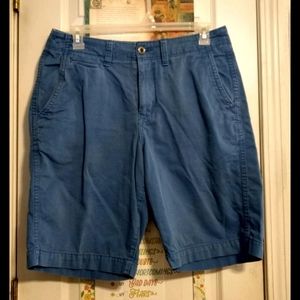 American Eagle Outfitters Longboard shorts. (32)
